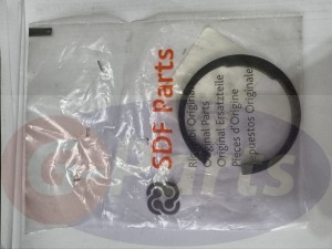 2.1411.027.7 PIERŚCIEŃ SDF